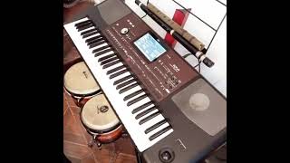 🎹"STANILAO MARINO/AMEMONOS DE CORAZÓN/COVER KORG PA 700"🎹