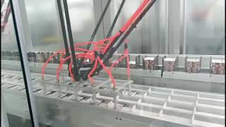 How to Carton Blister Tablet Vertically? Check our Automatic Solution by Delta Robot(spider robot)