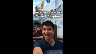 MELHORES ATRAÇÕES NO ANIMAL KINGDOM DA DISNEY WORLD | KUNIS POR AÍ #shorts