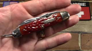 Robeson Scout Knife in Strawberry Bone!