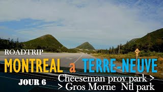 Roadtrip Terre Neuve - Jour 6  Cheeseman prov park to Gros Morne Ntl park