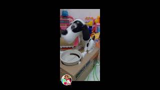 🐶🐶🐕🐕ET'S PLAY HUNGRY DOG COIN BANK CHALLENGE 🐈🐈🐕‍🦺🐕‍🦺🦮🦮🐶🐶ASMR..LET'S PLAY