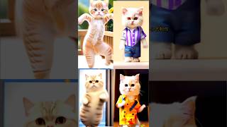 funny cats dance complition patli kamar mori #cat #dance #youtubeshorts #tecnocatdance