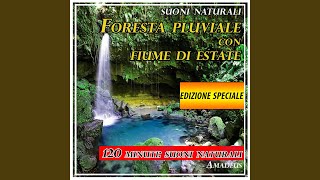 Foresta pluviale con fiume di estate: suoni naturali (edizione speciale)