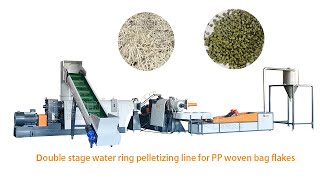 Plastic Pelletizer Machine,Pellet Making Machine,PP woven bag flakes Granulating Line