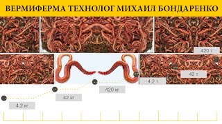 201 Маточник  Червя Заказ Выполнен