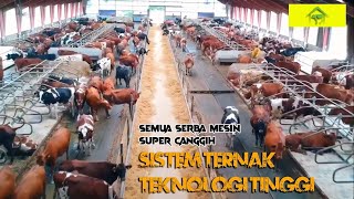 Ternyata Seperti Ini, Peternakan Sapi Modern di Kanada, Patut di Contoh!