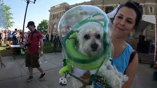 2022 UFO Festival Pet Contest