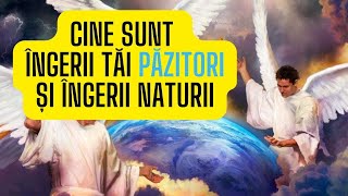 ZIUA 1 - ÎNVAȚĂ CUM SĂ COMUNICI CU ÎNGERII ÎN 21 DE ZILE