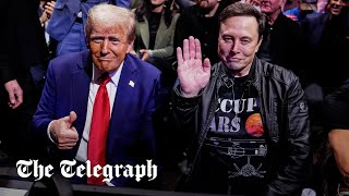 Donald Trump and Elon Musk attend UFC championship fight with top cabinet picks