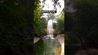 #shorts #short #youtubeshorts #jaipur #jaldhara #fountain #smritivan #tree #waterfall #nature