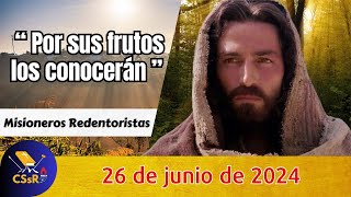 Evangelio de HOY miércoles 26 de junio. Mt 7,15-20. Por sus frutos los conocerán.