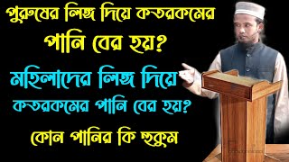 পুরুষের লিঙ্গ, মহিলার লিঙ্গ, দিয়ে কতরকমের পানি বের হয়? মাওঃ নুরে আলম খাঁন