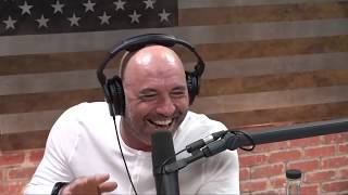 Joe Rogan & Steve Rinella talk Bernie Sanders JRE CLIPS