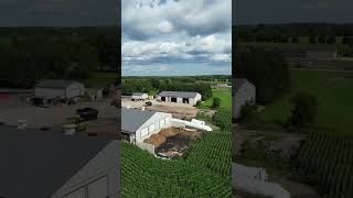 Framing review doe a 60x120 storage shed #barn #drone #timber #building #automobile #farming