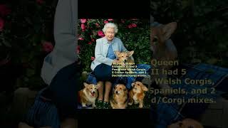 Queen Elizabeth II's favorite dog breed #shorts