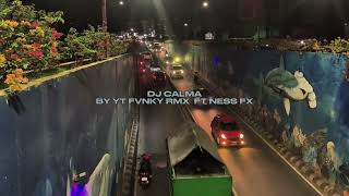 DJ CALMA BY YT FVNKY RMX FT NESS FX VIRAL FYP TIKTOK MENGKANEE!!