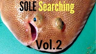 Fishing Brothers - Sole Searching Volume 2