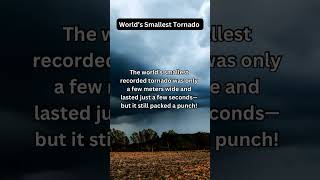 World’s Smallest Tornado🌪️👀🤔| did you know?#daily #dailyshorts #tornado