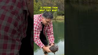 WHAT Is The BEST Way To Catch Catfish - THIS!! #shorts #fishing