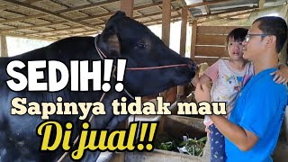 Adik Kecil ini Menangis‼️Sapinya Tidak Mau Di Jual‼️#subscribe #viral #sapi