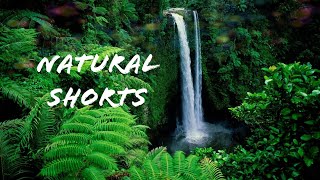 Ultimate natural video/Best WhatsAppstatus/#shorts#edit#best whatsapppstatus/naturalvideo