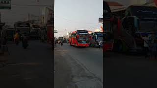 beriringan #bus