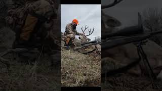 2021 mule deer , Colorado, solo 3rd season buck. public land