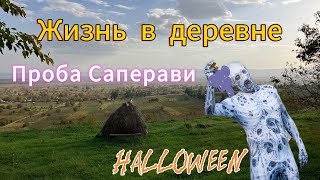 Жизнь в деревне/первые пробы Саперави/Тбилиси#грузия #вино