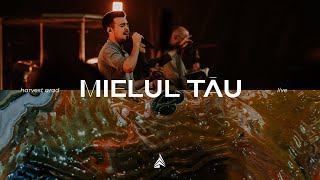 Mielul Tău | Live | Harvest Arad