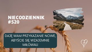 NieCodziennik [#520] 15 czerwca 2023