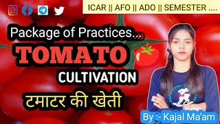 TOMATO CULTIVATION || ICAR || BHU