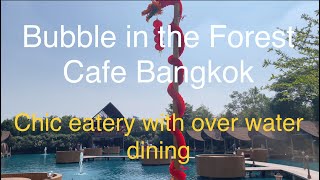 Tourist attraction Bubble in the forest cafe Bangkok Thailand 🇹🇭