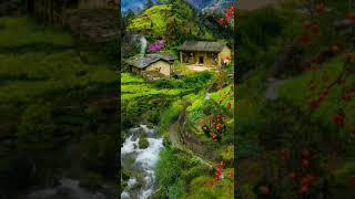 Nature | china forest village, Chinese village old house view | Nature 4k videos | Short video