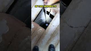 Scared Kitten's Miraculous Rescue From 30 Feet Deep 🤯🥹❤️ #animalshorts #shortsfeed #animalrescue