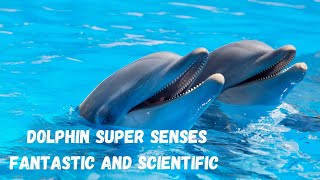 Super Senses In Dolphin| Super Senses In Animals| #Adaptations In Animals | Dolphin Echo Location