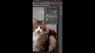 A Better Select Subject in Photoshop ☁️ ⚡️ #shorts