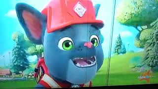 nick jr too ask any qwerty bear nick jr too and eye not ash