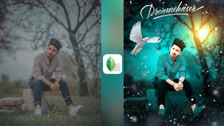 Snapseed green and bird effect photo editing - in Hindi | Snapseed background colour change tricks