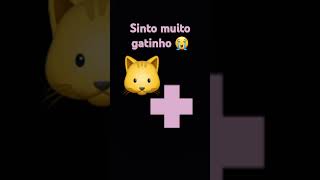 gatinho preste s morrer