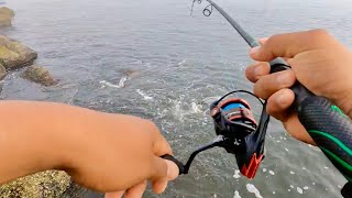 This LURE Catches All The FISH on the Alabama JETTIES!