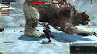 Vindictus White Tyrant's Challenge Funny Glitch