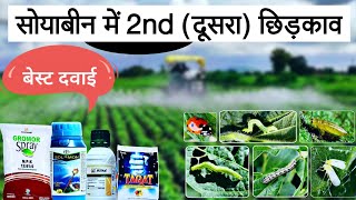 सोयाबीन में दूसरा कीटनाशक स्प्रे | Soybean me 2nd Spray | Soybean best insecticide, Soybean ki dawai