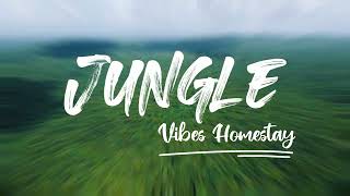 Jungle Resort In Dandeli - Best Package - Stay- Food - Activities - Sightseeing #viral #trending