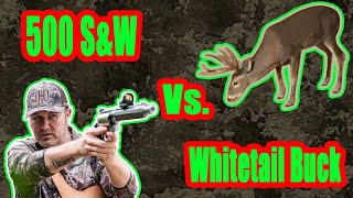 500 Smith and Wesson vs. Whitetail Buck