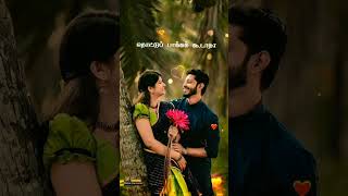 🌷Thamara Poovukkum Song🎶 WhatsApp status videos#