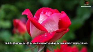 Tamil Quran - Sura 14 Ibrahim (ஸூரத்து இப்ராஹீம்)