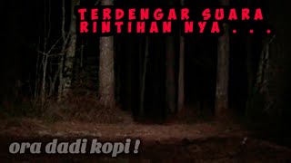 Hantu Wanita Cantik yang Di perkos4 lalu Di Bu4ng