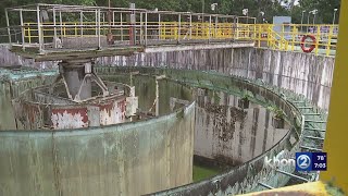 Avian Flu variant confirmed at Wahiawa Wastewater Treatment Facility