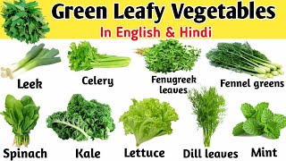 VEGETABLES !! TOP 20 Leafy vegetables name in english & hindi | Name of Green leafy vegetables